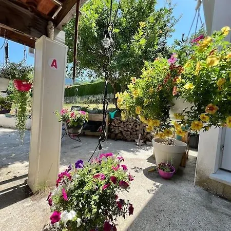 Logement Dans Propriété Privée. * Saint-Amans-Soult